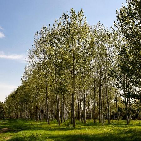 Masseria Giosole Capua Bagian luar foto
