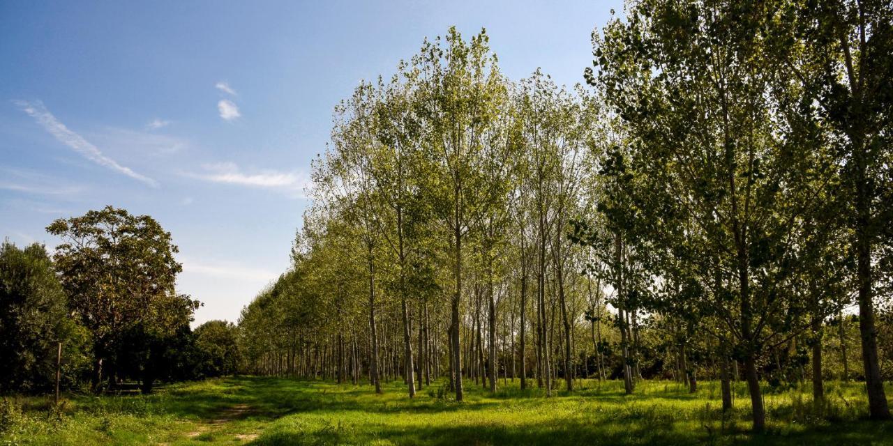 Masseria Giosole Capua Bagian luar foto
